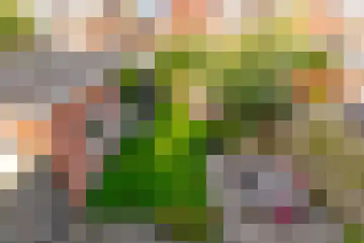 Koningin Julianalaan 9 Bunnik thumbnail 32