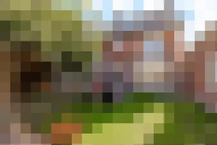 Koningin Julianalaan 9 Bunnik thumbnail 33