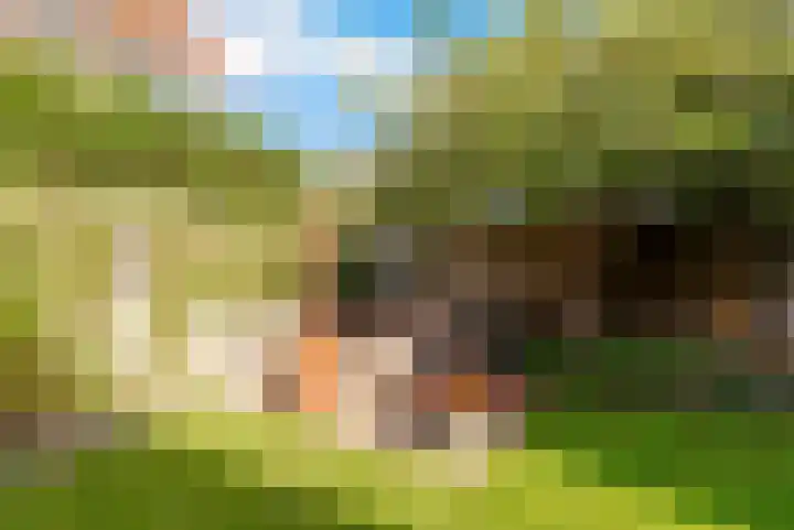 Koningin Julianalaan 9 Bunnik thumbnail 34