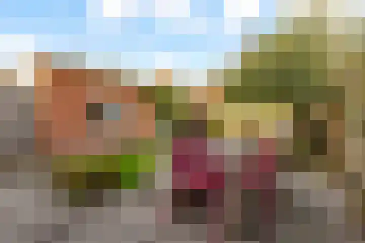 Koningin Julianalaan 9 Bunnik thumbnail 35