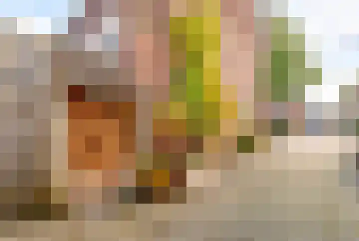 Koningin Julianalaan 9 Bunnik thumbnail 36