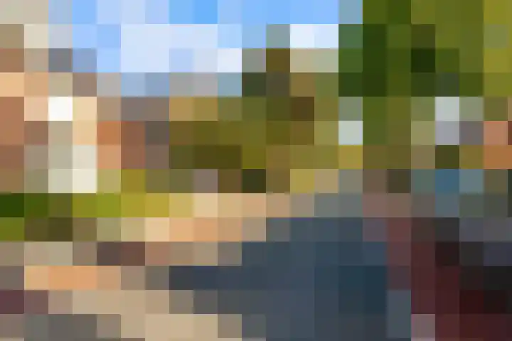 Koningin Julianalaan 9 Bunnik thumbnail 38