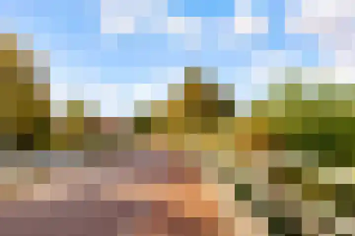 Koningin Julianalaan 9 Bunnik thumbnail 39