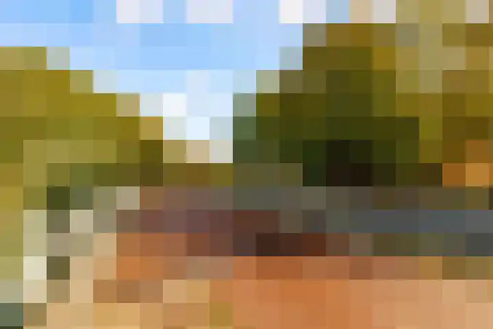 Koningin Julianalaan 9 Bunnik thumbnail 40