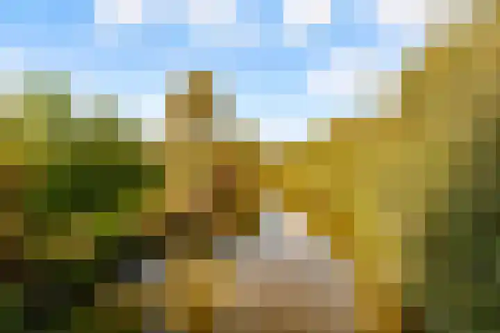 Koningin Julianalaan 9 Bunnik thumbnail 41