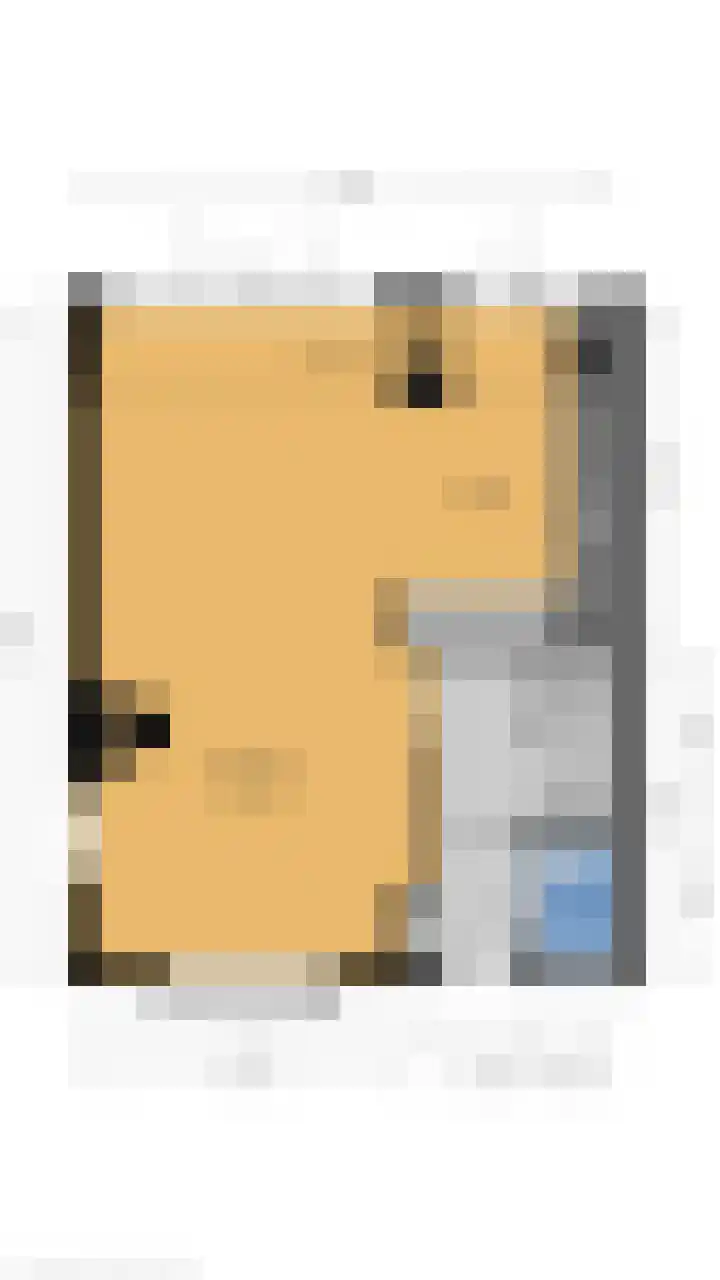 Koningin Julianalaan 9 Bunnik thumbnail 42