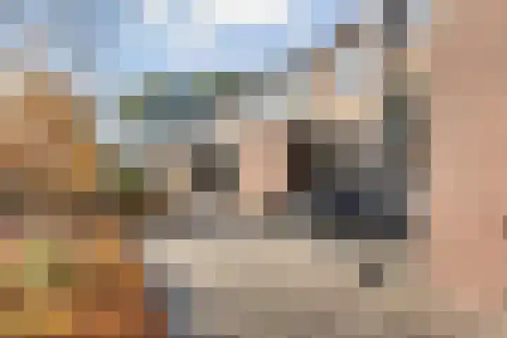 Koningin Julianalaan 93 Rijnsburg thumbnail 34