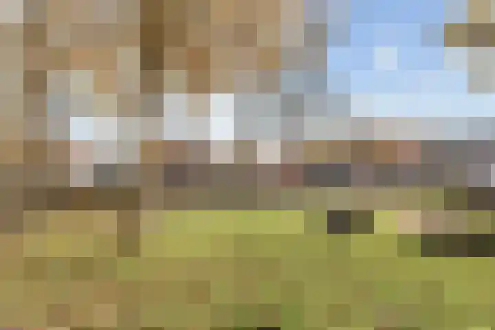 Koningin Julianalaan 93 Rijnsburg thumbnail 39