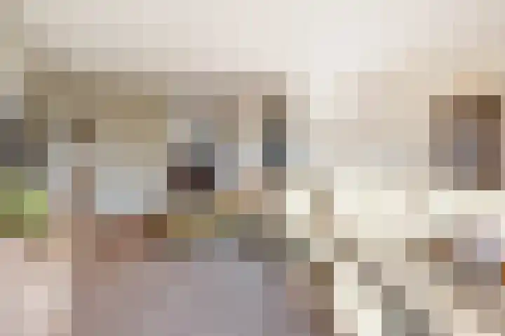 Koningin Julianalaan 93 Rijnsburg thumbnail 7