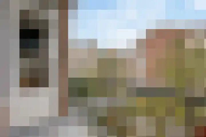 Koningin Julianalaan 95 Voorburg thumbnail 14