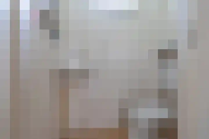 Koningin Julianalaan 99 Rijnsburg thumbnail 11