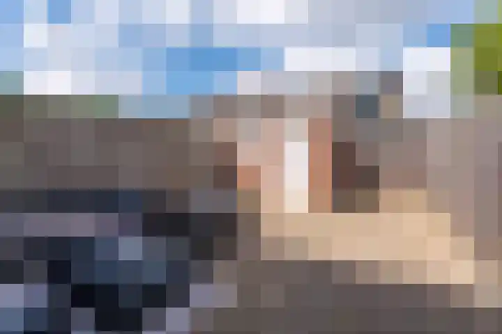 Koningin Julianalaan 99 Rijnsburg thumbnail 26