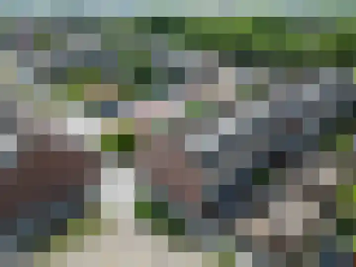 Koningin Julianalaan 99 Rijnsburg thumbnail 32