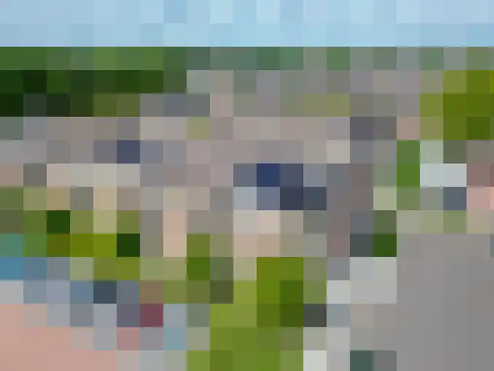 Koningin Julianalaan 99 Rijnsburg thumbnail 33
