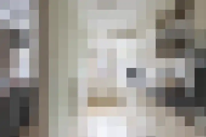 Koningin Julianalaan 99 Rijnsburg thumbnail 5