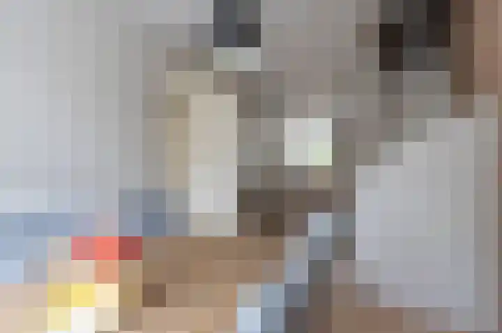Koningin Julianalaan 99 Rijnsburg thumbnail 7