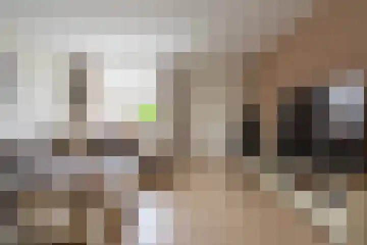 Koningin Julianalaan 99 Rijnsburg thumbnail 9