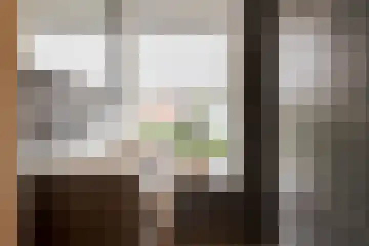 Koningin Julianaplantsoen 37 Waardenburg thumbnail 13