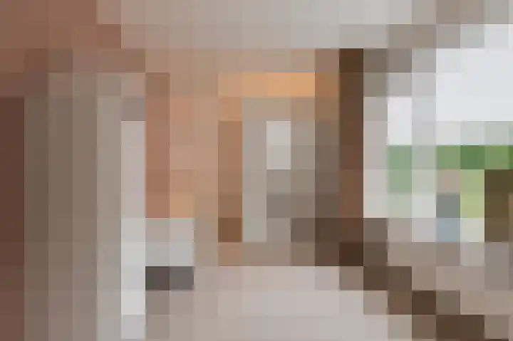 Koningin Julianaplantsoen 37 Waardenburg thumbnail 17