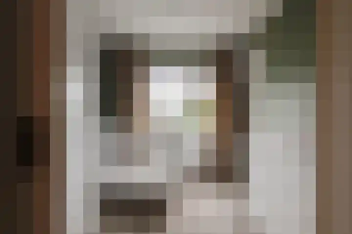 Koningin Julianaplantsoen 37 Waardenburg thumbnail 18