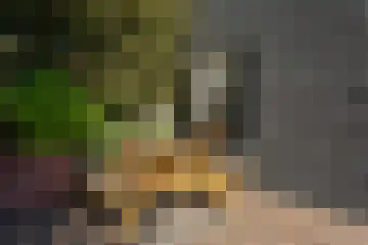 Koningin Julianaplantsoen 37 Waardenburg thumbnail 20