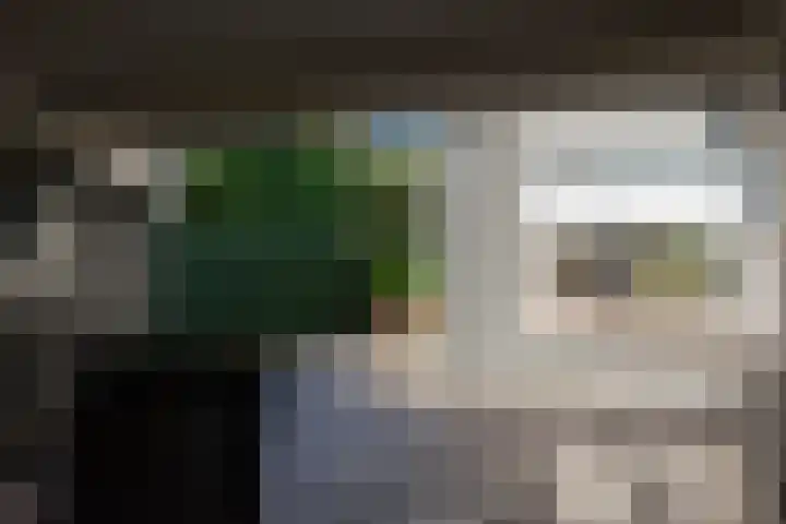 Koningin Julianaplantsoen 37 Waardenburg thumbnail 24