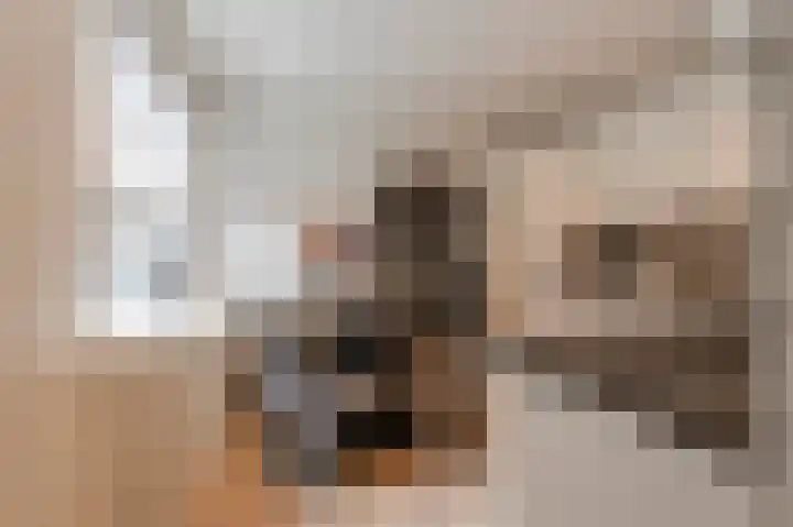 Koningin Julianaplantsoen 37 Waardenburg thumbnail 8