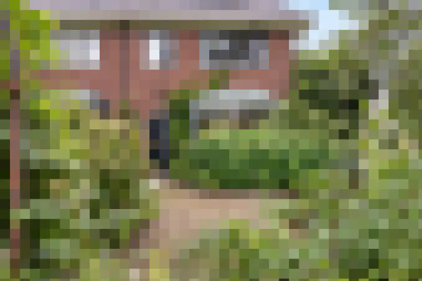 Koningin Julianaplein 1 Leidschendam thumbnail 7
