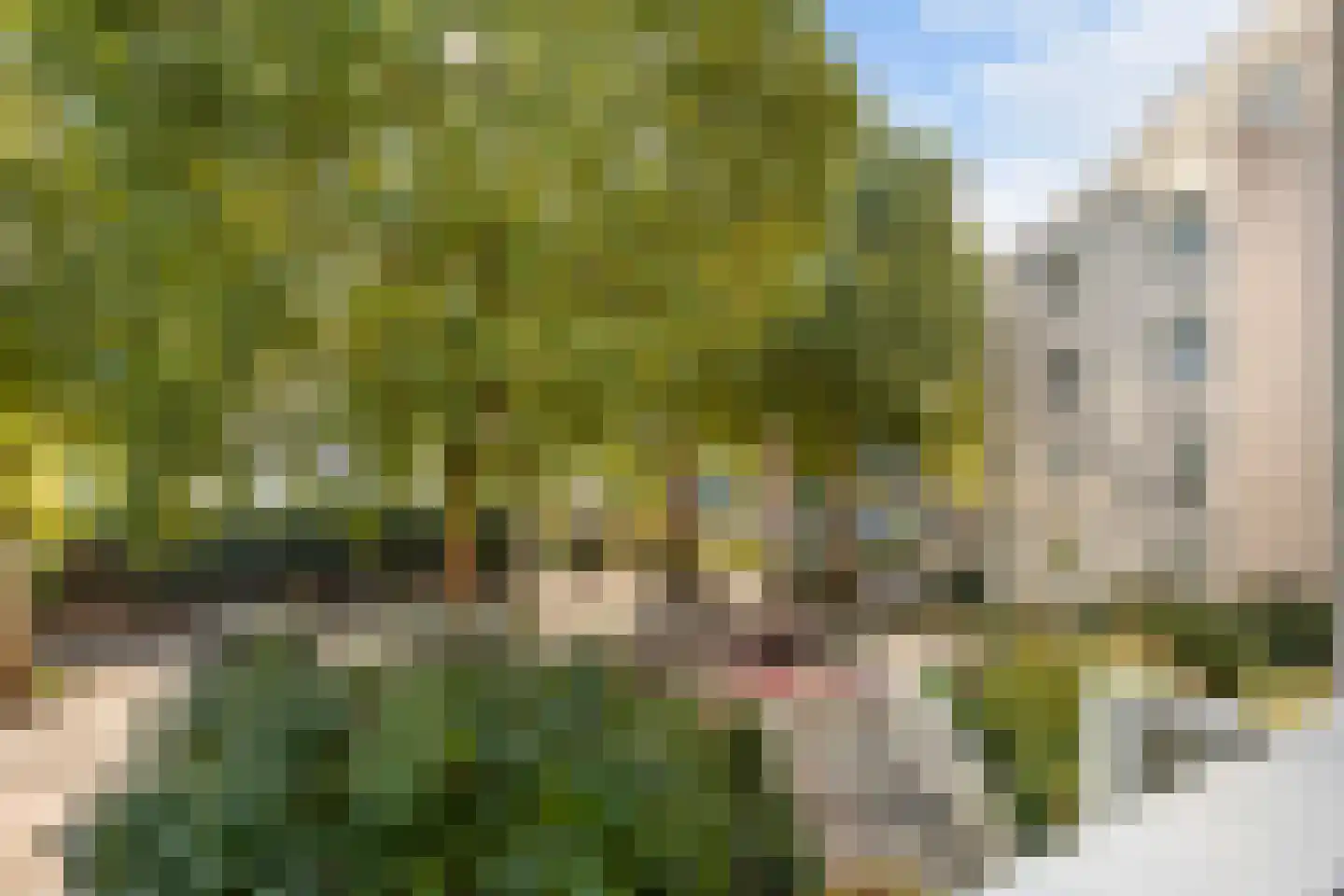 Koningin Julianaplein 31 Leidschendam thumbnail 12