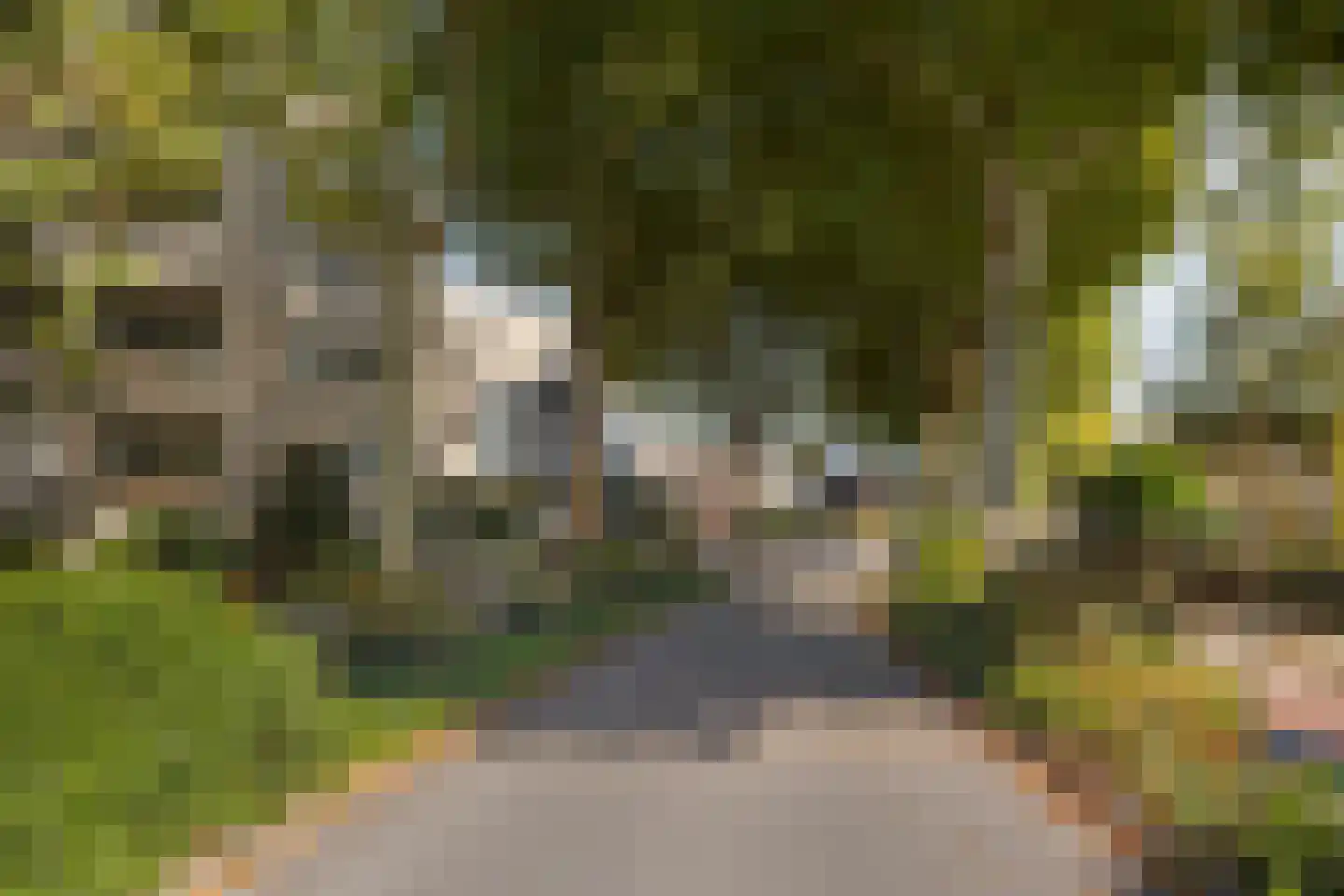 Koningin Julianaplein 31 Leidschendam thumbnail 38