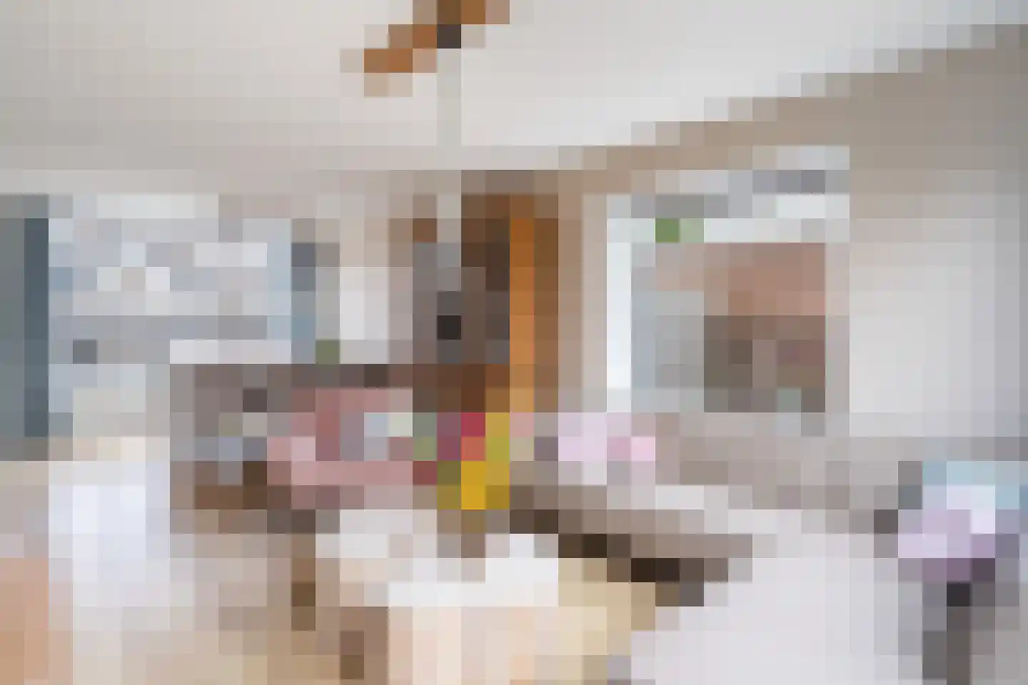 Koningin Julianasingel 20 Benschop thumbnail 15
