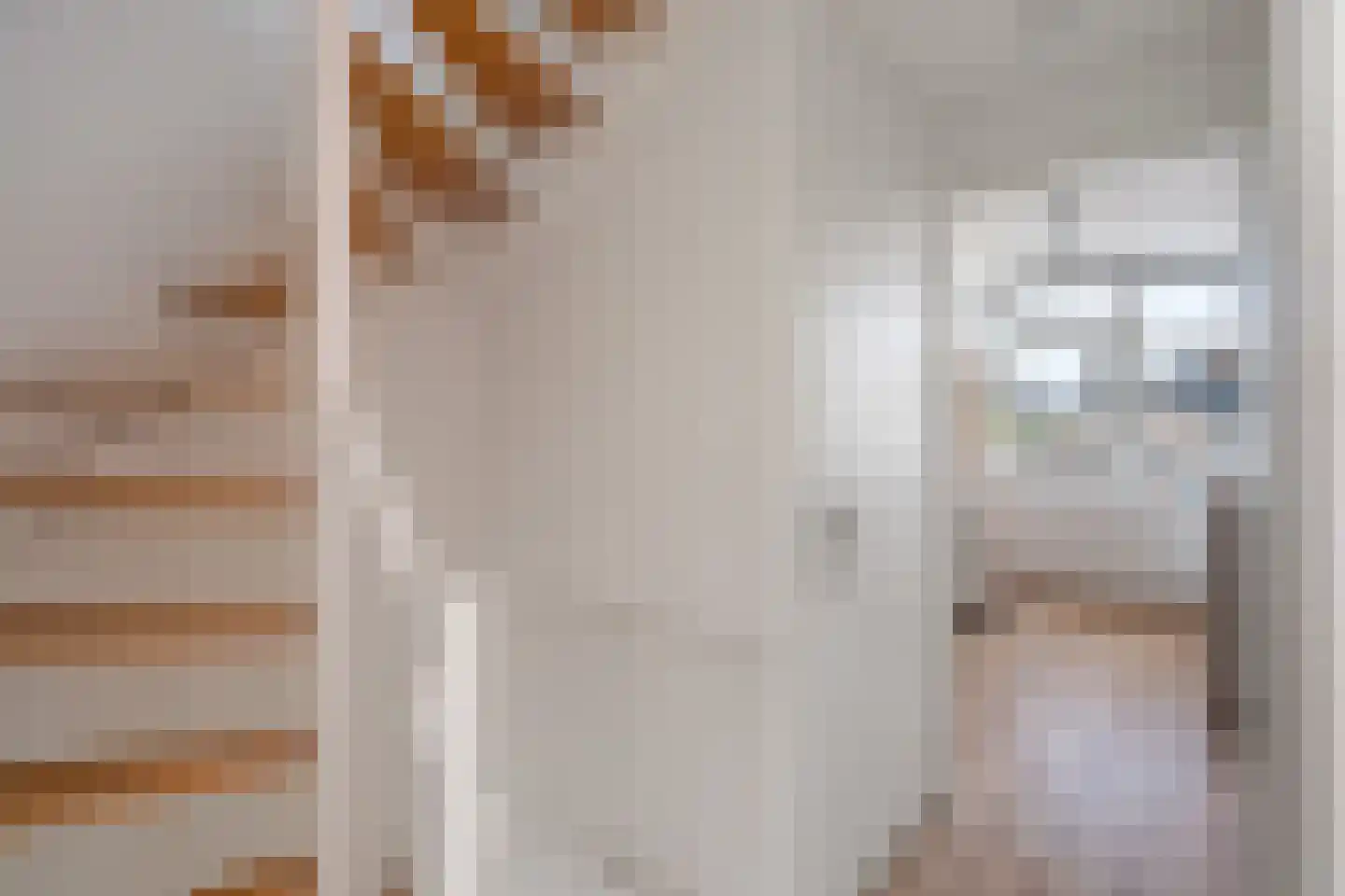 Koningin Julianasingel 20 Benschop thumbnail 29