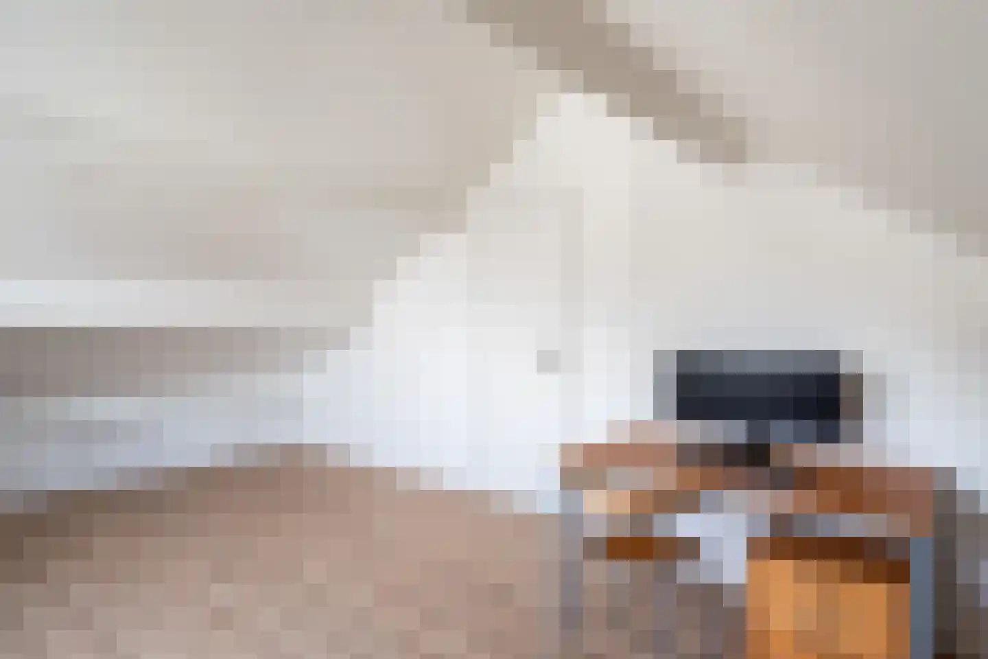 Koningin Julianasingel 20 Benschop thumbnail 32