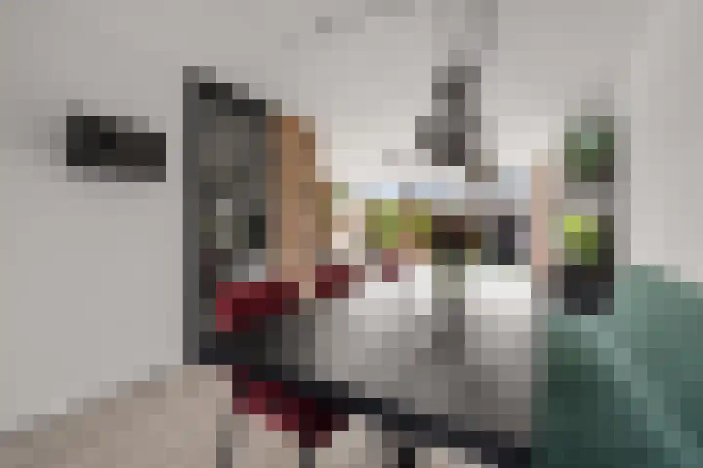 Koningin Julianasingel 5 C Benschop thumbnail 13