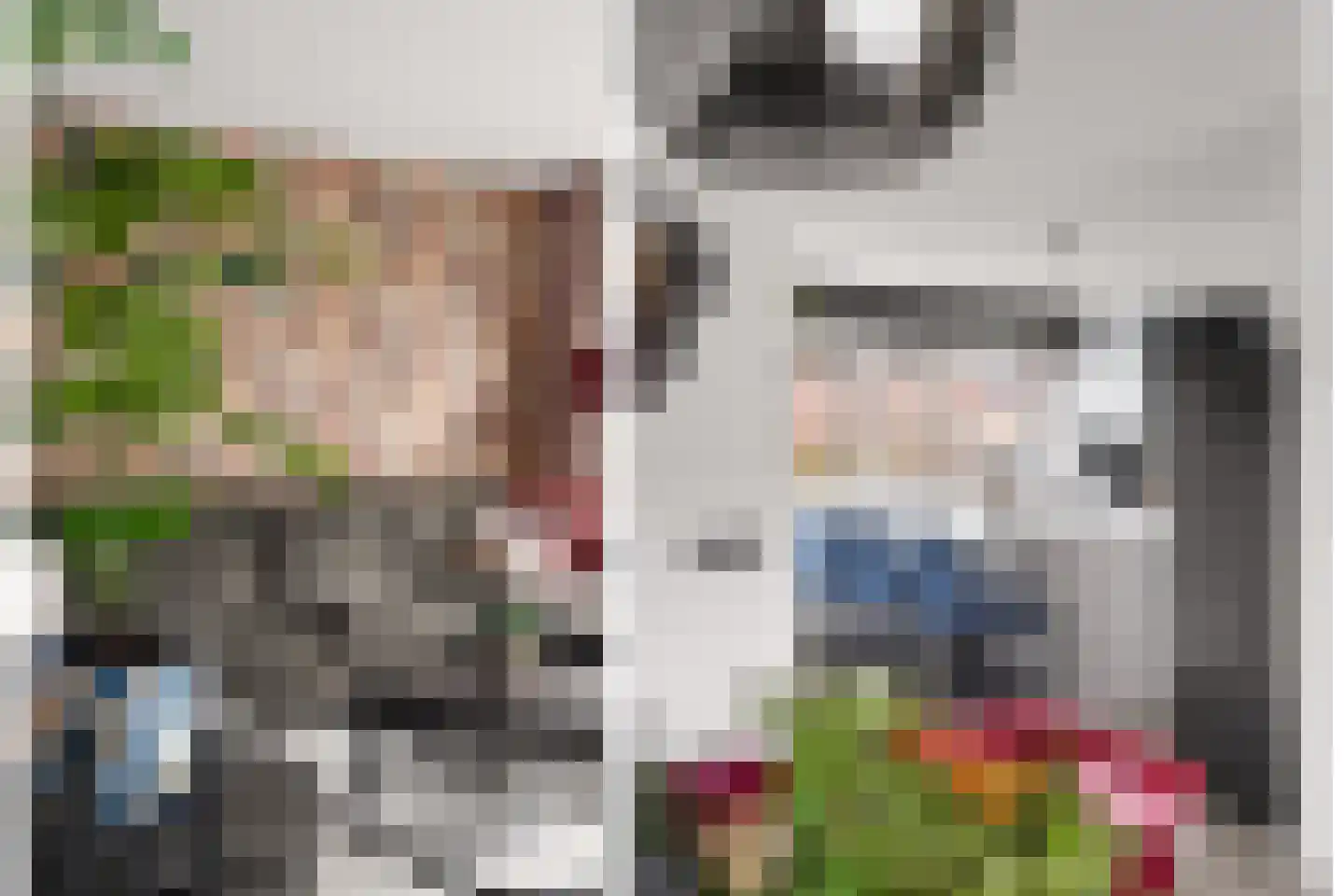 Koningin Julianasingel 5 C Benschop thumbnail 17