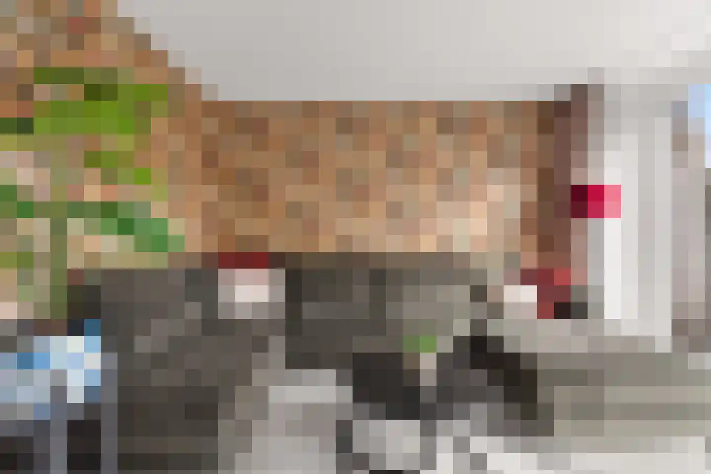Koningin Julianasingel 5 C Benschop thumbnail 20