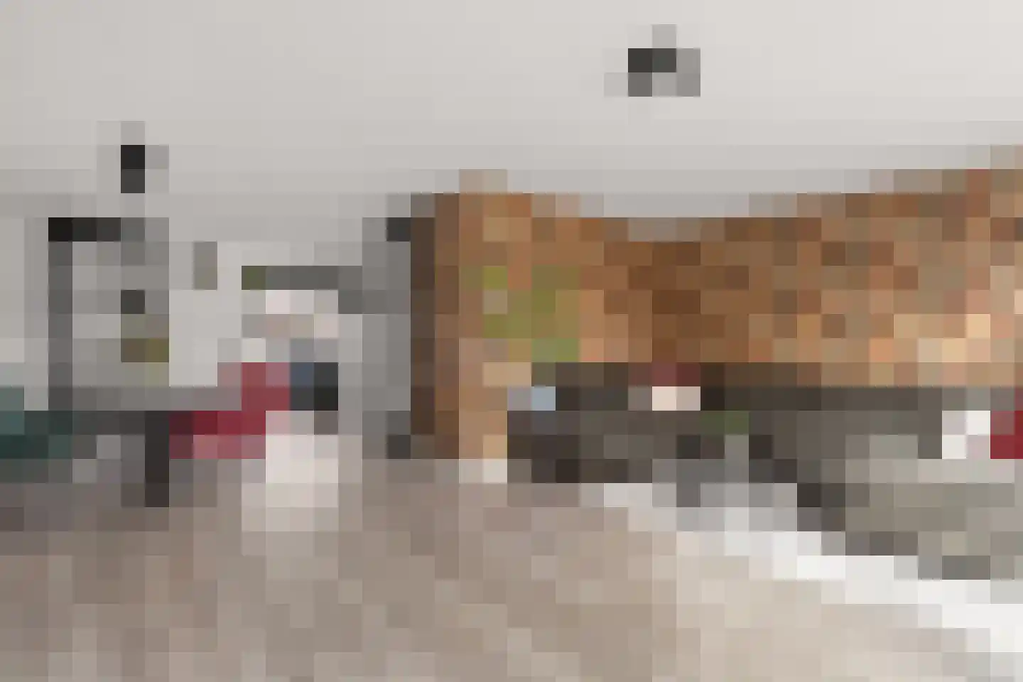 Koningin Julianasingel 5 C Benschop thumbnail 22