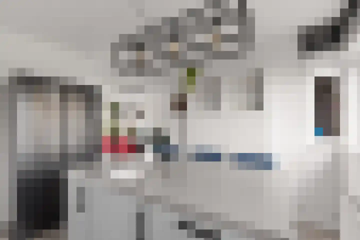 Koningin Julianasingel 5 C Benschop thumbnail 31