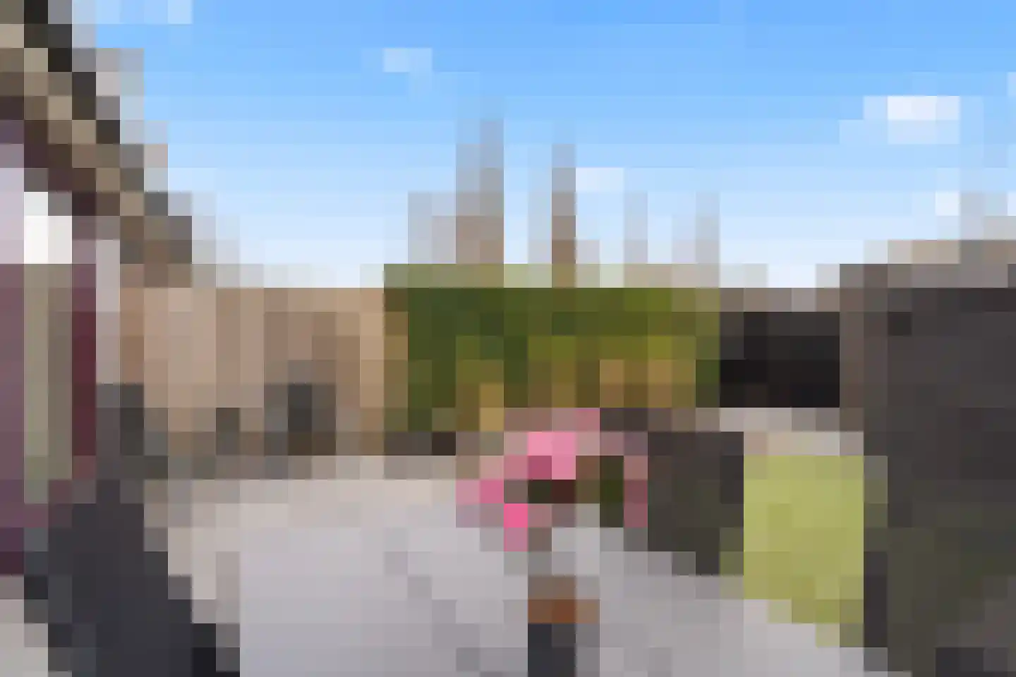 Koningin Julianasingel 5 C Benschop thumbnail 36
