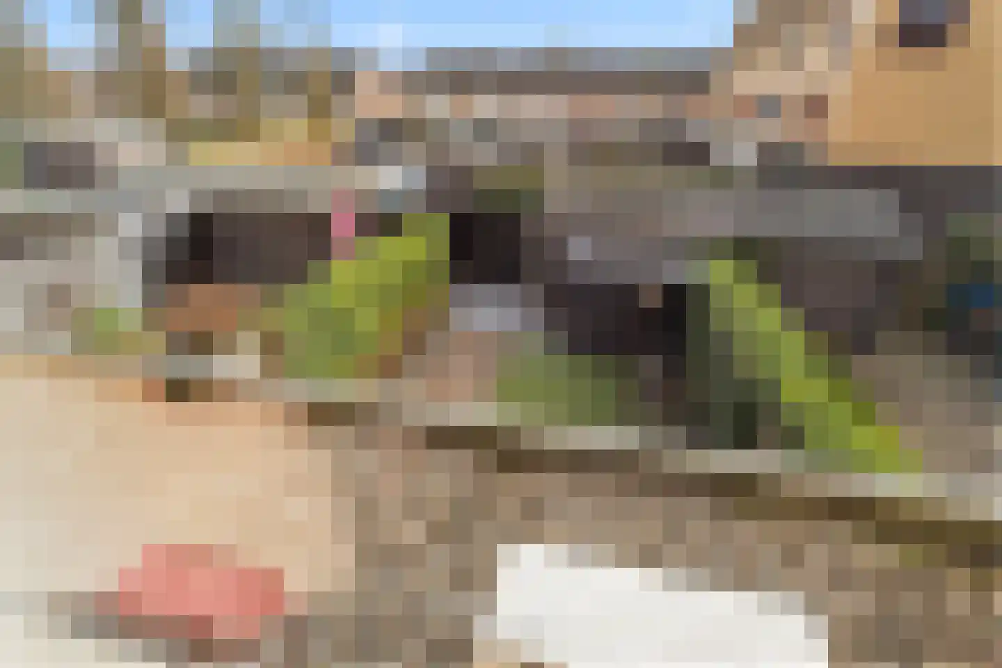 Koningin Julianasingel 5 C Benschop thumbnail 42