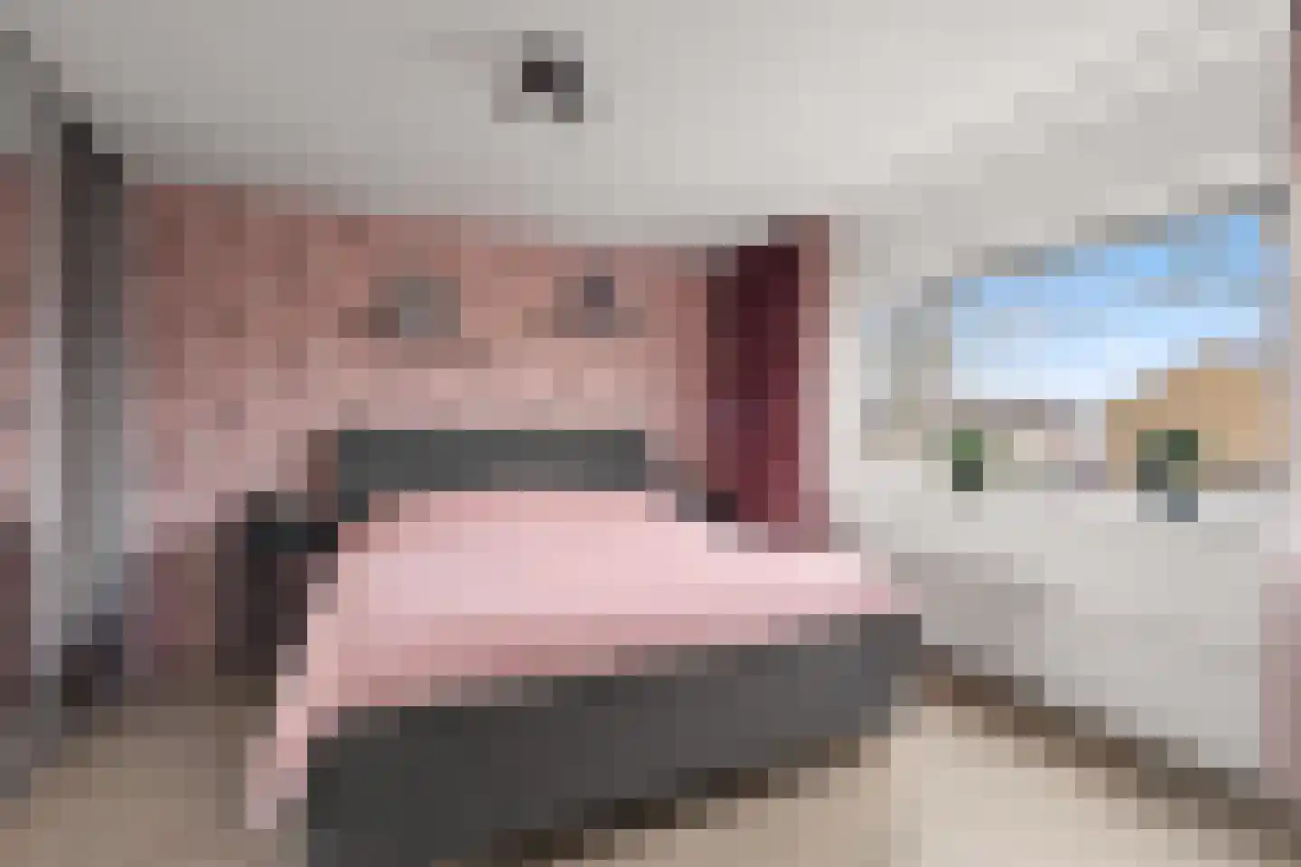 Koningin Julianasingel 5 C Benschop thumbnail 47