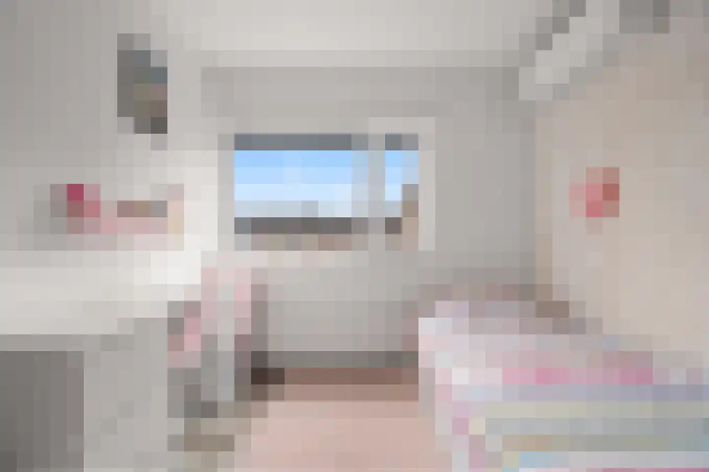 Koningin Julianasingel 5 C Benschop thumbnail 53