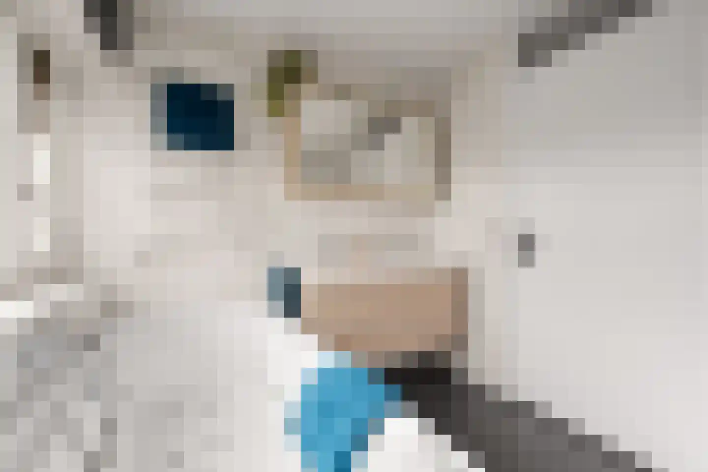 Koningin Julianasingel 5 C Benschop thumbnail 56