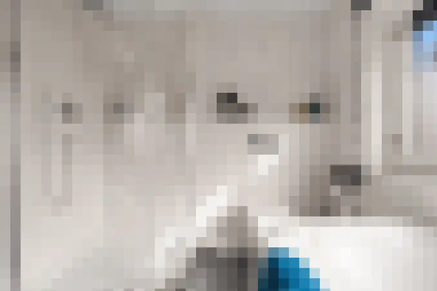 Koningin Julianasingel 5 C Benschop thumbnail 58