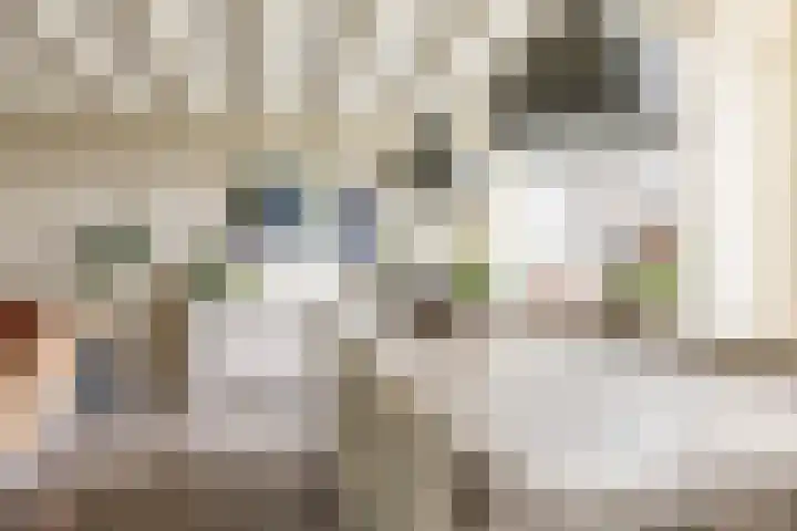 Koningin Julianasingel 6 Benschop thumbnail 10