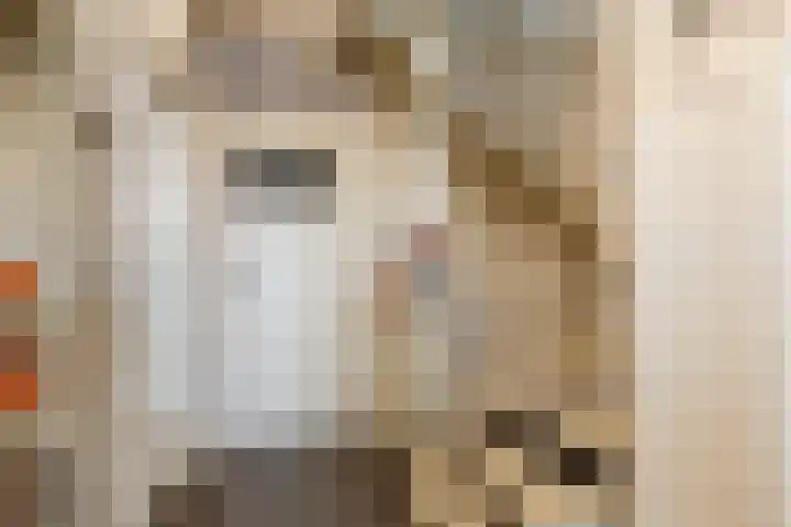 Koningin Julianasingel 6 Benschop thumbnail 21