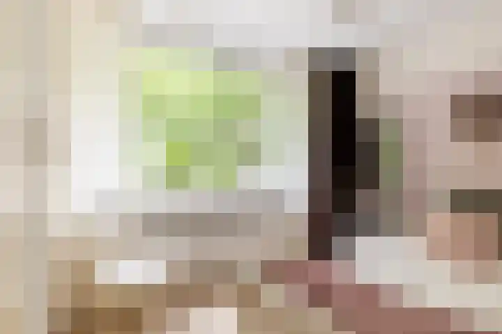 Koningin Julianasingel 6 Benschop thumbnail 28