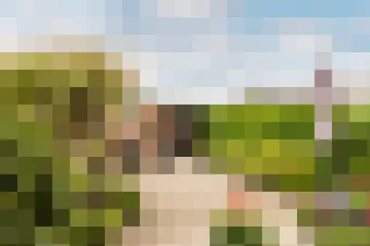 Koningin Julianasingel 6 Benschop thumbnail 37