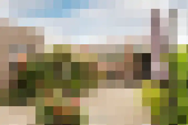 Koningin Julianasingel 6 Benschop thumbnail 38