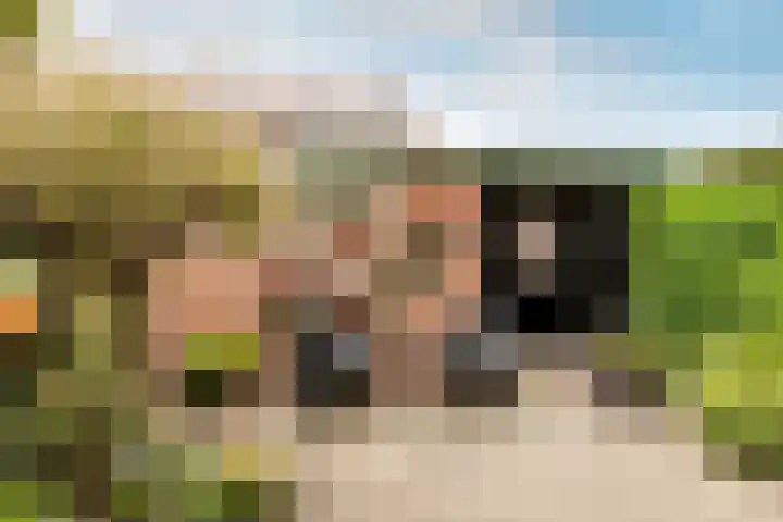 Koningin Julianasingel 6 Benschop thumbnail 45